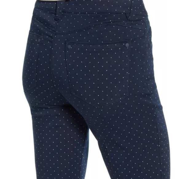 Wit & Wisdom L103Y4SL Ab-Solution Polka Dot Ankle Pants Skimmer High Rise Sz 2 - Picture 8 of 12